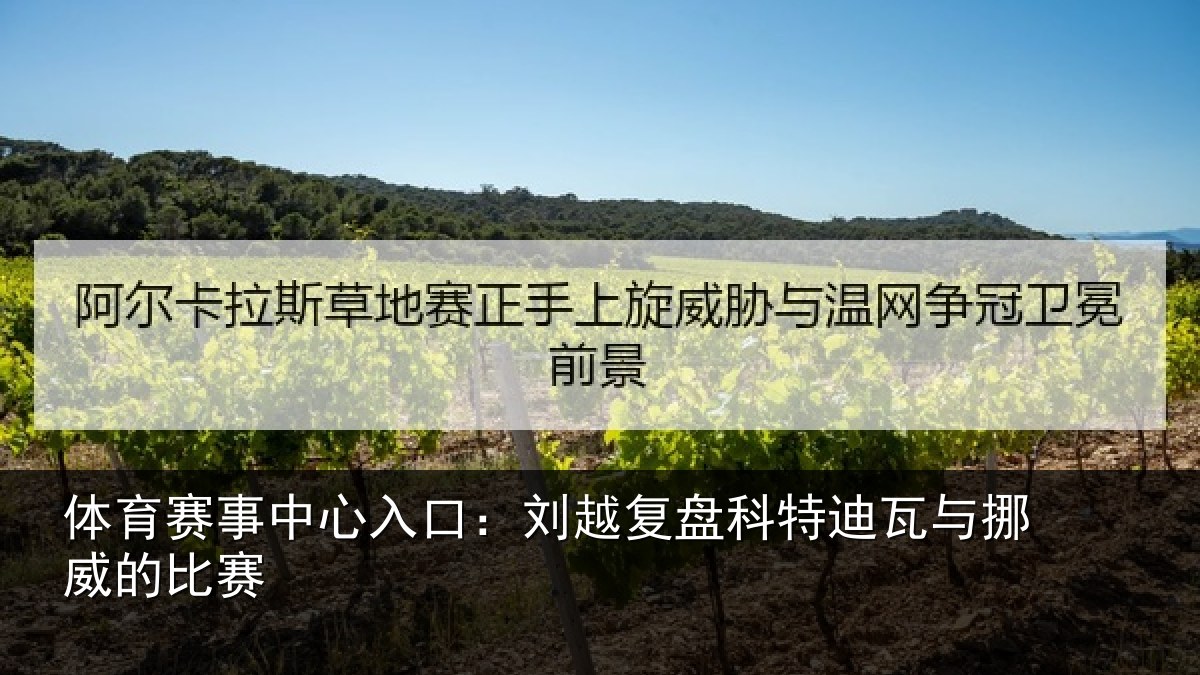 体育赛事中心入口：刘越复盘科特迪瓦与挪威的比赛
