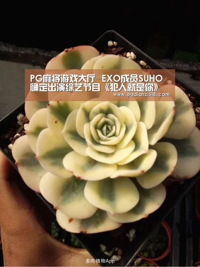 PG麻将游戏大厅-EXO成员SUHO确定出演综艺节目《犯人就是你》 豪华阵容引期待(图2) PG麻将游戏大厅